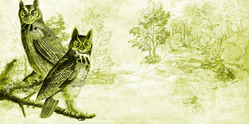 entdecken sie luxburgs einzigartige verbindung von stoizismus und lebenskunst: inspirierende einsichten, praktische werkzeuge und zeitlose philosophie für ein erfülltes leben.