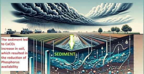entdecken sie interessantes wissen über daniel von luxburg: sein hintergrund, seine karriere und seine beiträge zu verschiedenen bereichen. erfahren sie mehr über diese bemerkenswerte persönlichkeit.